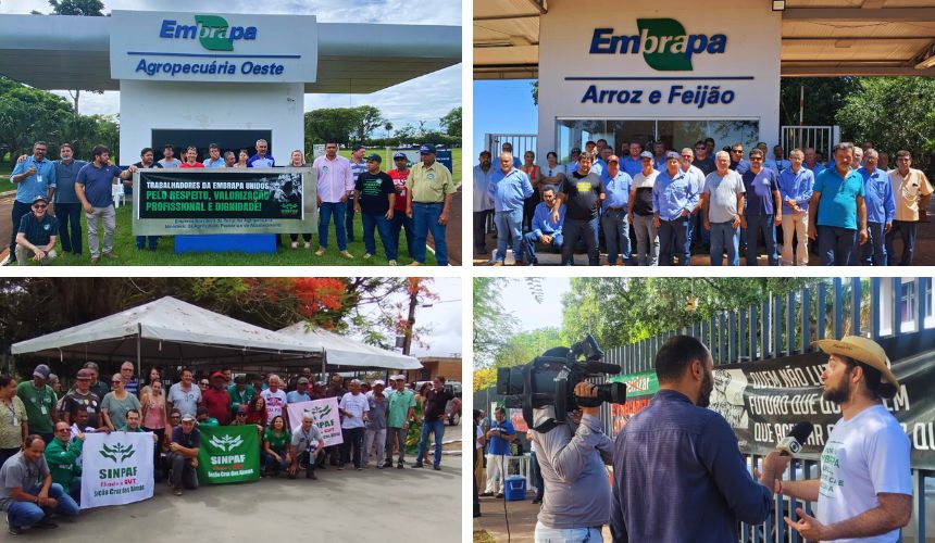 Paralisação - Quatro fotos. Todas das paralisações da Embrapa em diferentes unidades pelo Brasil. A maioria delas em frente à empresa.