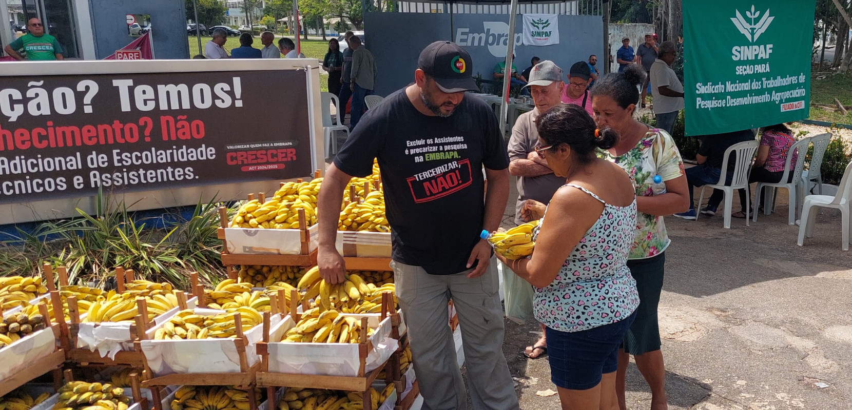 Distribuição de bananas no Pará