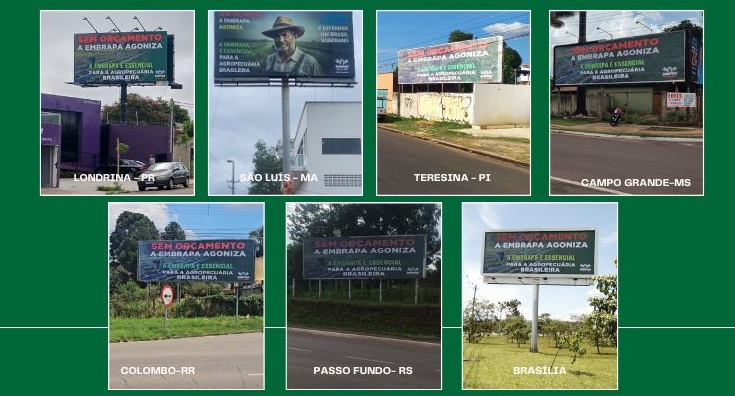 fotos dos outdoors das sete cidades. é uma arte com o fundo verde e em cada um tem o nome da cidade 