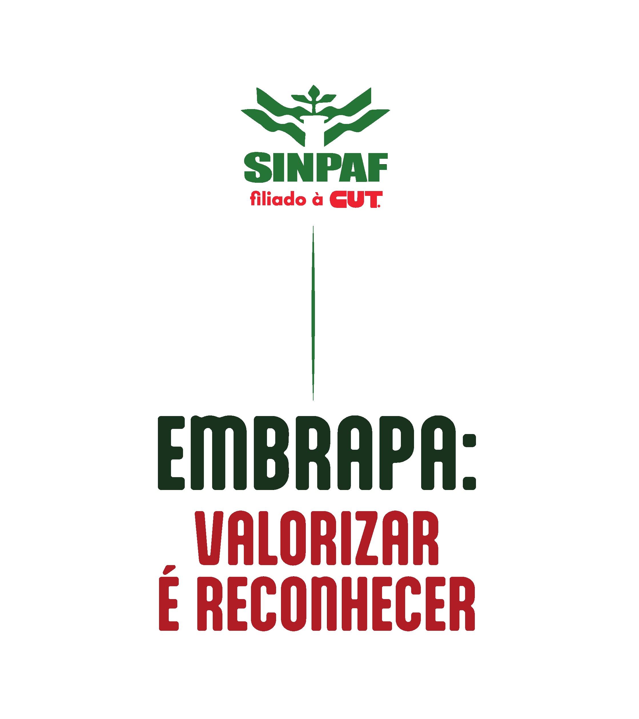 CAMISETA COSTAS