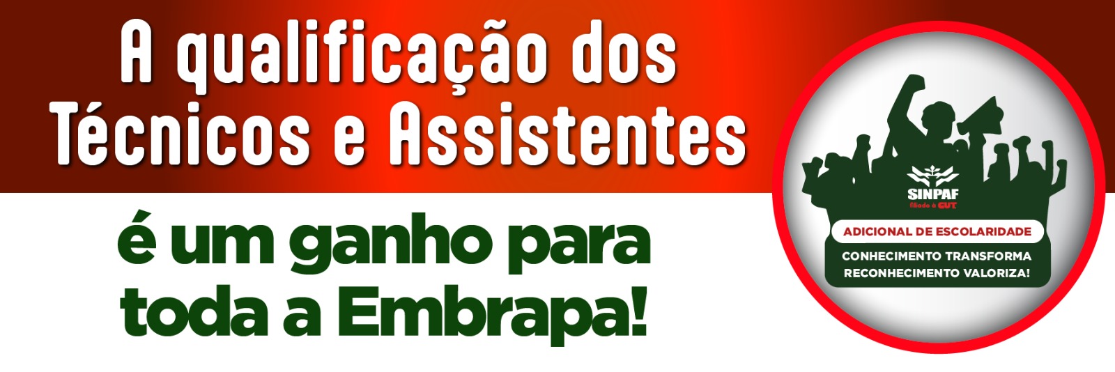 Faixa 01
