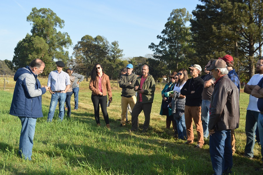 Capacitação do Balde Cheio em um propriedade leiteira (Foto: Embrapa)