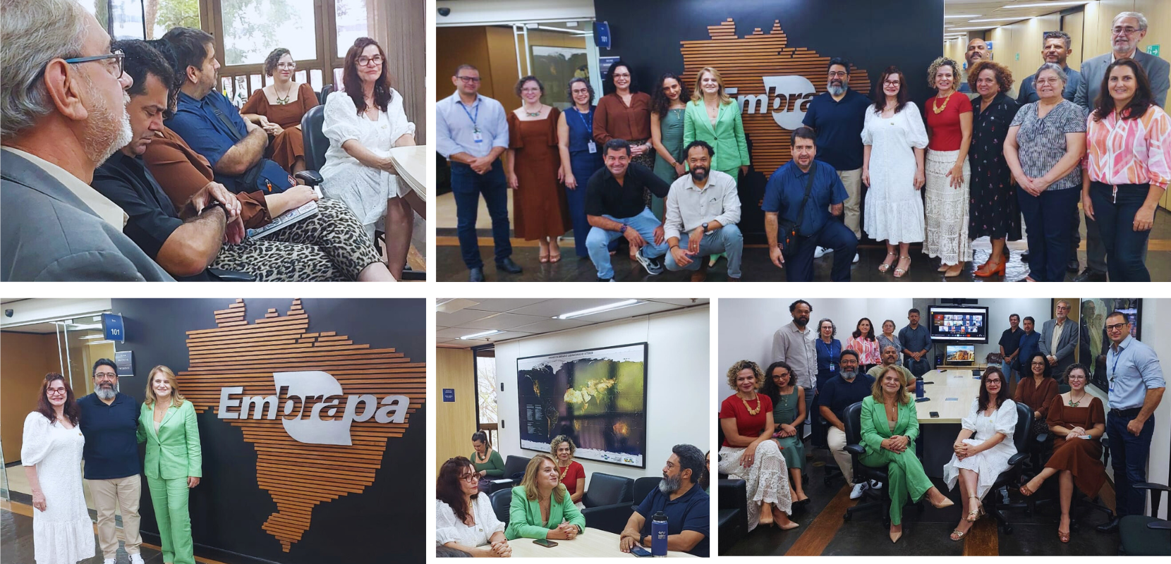 SINPAF e Embrapa oficializam lançamentos da negociação do ACT 2026-2027 e da Mesa de Negociação Permanente