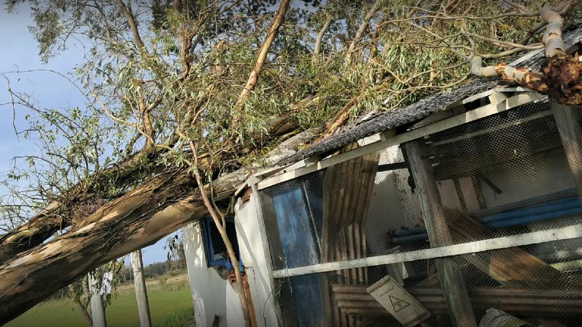 Sinpaf busca informações sobre ações emergenciais com chefia de Pelotas e segue cobrando construção de protocolo nacional